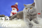 Mumin ist 2,5 Jahre alt ( November 2015 )
