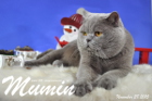 Mumin ist 2,5 Jahre alt ( November 2015 )
