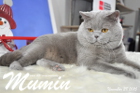 Mumin ist 2,5 Jahre alt ( November 2015 )