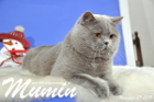 Mumin ist 2,5 Jahre alt ( November 2015 )
