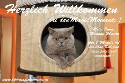 Mumin ist am 31.12.2013 bei uns MagicMoments eingezogen