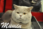 Mumin ist ein echter Charmeur