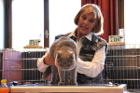 Mumin bei Tica Richterin Pamela Barrett aus den USA