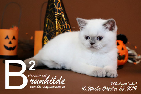 Brunhilde ist 10 Wochen alt ( 25.10.2019 )