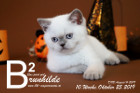 Brunhilde ist 10 Wochen alt ( 25.10.2019 )