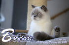 Brunhilde ist 18 Monate alt ( 20.02.2021 )