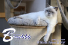 Brunhilde ist 18 Monate alt ( 20.02.2021 )