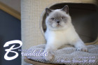 Brunhilde ist 18 Monate alt ( 20.02.2021 )