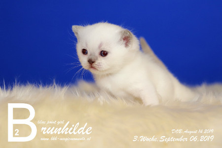 Brunhilde ist 3 Wochen alt ( 06.09.2019 )