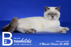 Brunhilde ist 6 Monate alt ( 23.02.2020 )