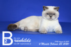 Brunhilde ist 6 Monate alt ( 23.02.2020 )