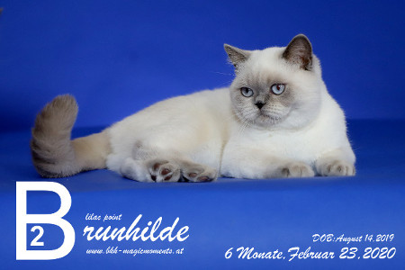 Brunhilde ist 6 Monate alt ( 23.02.2020 )