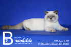 Brunhilde ist 6 Monate alt ( 23.02.2020 )