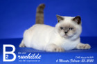 Brunhilde ist 6 Monate alt ( 23.02.2020 )