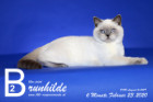 Brunhilde ist 6 Monate alt ( 23.02.2020 )