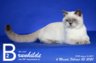 Brunhilde ist 6 Monate alt ( 23.02.2020 )