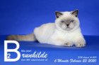 Brunhilde ist 6 Monate alt ( 23.02.2020 )