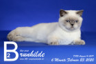 Brunhilde ist 6 Monate alt ( 23.02.2020 )