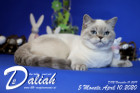 Daliah ist 5 Monate alt ( 10.04.2020 )
