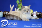 Daliah ist 5 Monate alt ( 10.04.2020 )