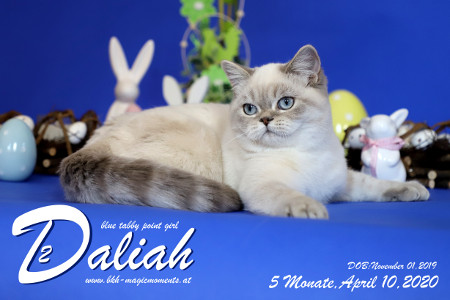 Daliah ist 5 Monate alt ( 10.04.2020 )