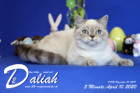 Daliah ist 5 Monate alt ( 10.04.2020 )