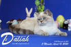 Daliah ist 5 Monate alt ( 10.04.2020 )