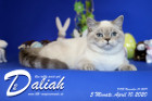 Daliah ist 5 Monate alt ( 10.04.2020 )