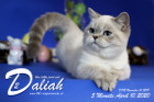 Daliah ist 5 Monate alt ( 10.04.2020 )