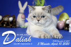 Daliah ist 5 Monate alt ( 10.04.2020 )