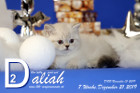 Daliah ist 7 Wochen alt ( 21.12.2019 )