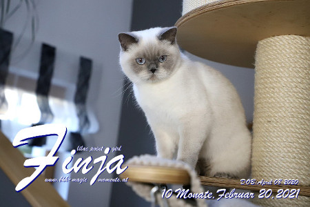 Finja ist 10 Monate alt ( 20.02.2021 )