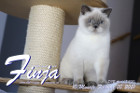 Finja ist 10 Monate alt ( 20.02.2021 )
