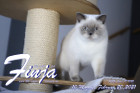 Finja ist 10 Monate alt ( 20.02.2021 )