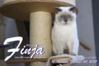 Finja ist 10 Monate alt ( 20.02.2021 )