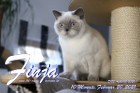 Finja ist 10 Monate alt ( 20.02.2021 )
