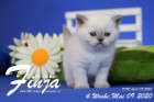Finja ist 4 Wochen alt ( 09.05.2020 )