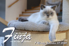 Finja ist 7 Monate alt ( 07.11.2020 )
