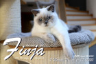Finja ist 7 Monate alt ( 07.11.2020 )