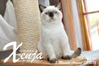 Xenja ist 5 Monate alt ( 26.08.2018 )