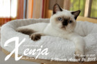 Xenja ist 5 Monate alt ( 26.08.2018 )