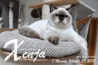 Xenja ist 7 Monate alt ( 28.10.2018 )