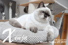 Xenja ist 7 Monate alt ( 28.10.2018 )