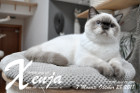 Xenja ist 7 Monate alt ( 28.10.2018 )