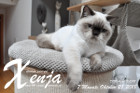 Xenja ist 7 Monate alt ( 28.10.2018 )