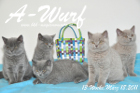Ayuna ist 13 Wochen alt geworden ( 18.03.2011 )