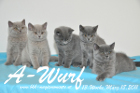 Ayuna ist 13 Wochen alt geworden ( 18.03.2011 )