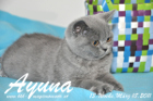 Ayuna ist 13 Wochen alt geworden ( 18.03.2011 )