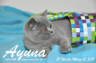 Ayuna ist 13 Wochen alt geworden ( 18.03.2011 )