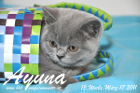 Ayuna ist 13 Wochen alt geworden ( 18.03.2011 )